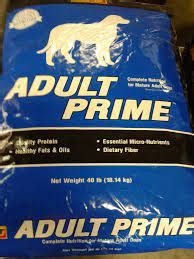 And now, in one of the most intense collaborations ever, <b>Adult Prime</b> is coming to Team Skeet as part of our “X” series! Your feed was terrific before, but it’s about to get even better with updates. . Adultprime premium account